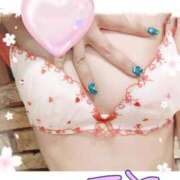 ヒメ日記 2026/03/28 16:17 投稿 てと ナチュラルプリンセス