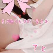 ヒメ日記 2026/03/30 06:25 投稿 てと ナチュラルプリンセス