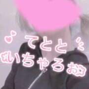 ヒメ日記 2026/04/29 09:47 投稿 てと ナチュラルプリンセス