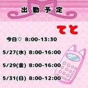 ヒメ日記 2026/05/21 09:25 投稿 てと ナチュラルプリンセス