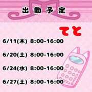 ヒメ日記 2026/06/11 05:05 投稿 てと ナチュラルプリンセス