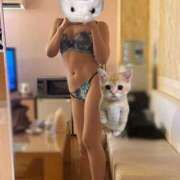 ヒメ日記 2025/10/13 14:43 投稿 にゃん（ドS童顔痴女×元塾講師 ハニービー（Honey Bee）