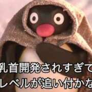 ヒメ日記 2026/02/03 00:34 投稿 にゃん（ドS童顔痴女×元塾講師 ハニービー（Honey Bee）