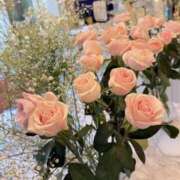 ヒメ日記 2025/08/08 17:30 投稿 ひなこ 千葉人妻セレブリティ（ユメオト）