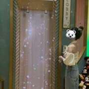 ヒメ日記 2025/09/29 11:53 投稿 ひなこ 千葉人妻セレブリティ（ユメオト）