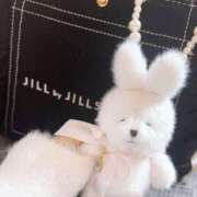 ヒメ日記 2025/11/22 20:53 投稿 ゆうか クンニ専門店 おクンニ学園 池袋校