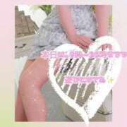 ヒメ日記 2025/11/23 08:51 投稿 ほし 熟女の風俗最終章 宇都宮店