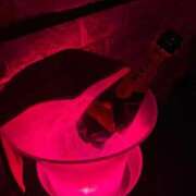 ヒメ日記 2025/12/25 20:10 投稿 みみ ミスキャンパス