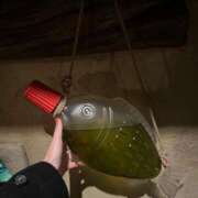 ヒメ日記 2025/06/28 19:44 投稿 のぞみ eroina