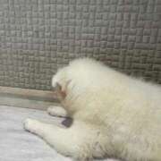 ヒメ日記 2025/07/05 22:26 投稿 のぞみ eroina