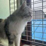 ヒメ日記 2025/07/07 07:01 投稿 のぞみ eroina