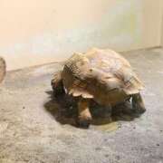 ヒメ日記 2025/07/16 09:01 投稿 のぞみ eroina