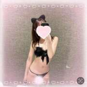 ヒメ日記 2025/09/27 18:39 投稿 るな カクテル(岡山)