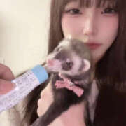 ヒメ日記 2025/12/03 23:41 投稿 せな バニーオンデマンド