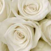 ヒメ日記 2025/10/06 20:38 投稿 西田 咲 CASA BIANCA（カーサ・ビアンカ）