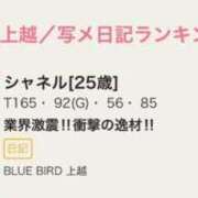 ヒメ日記 2025/07/07 13:03 投稿 シャネル BLUE BIRD (ブルーバード) 上越