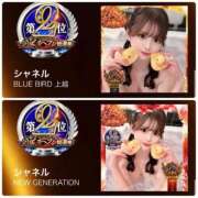 ヒメ日記 2025/11/13 22:03 投稿 シャネル BLUE BIRD (ブルーバード) 上越