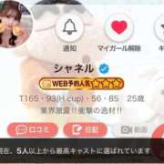 ヒメ日記 2025/11/27 18:13 投稿 シャネル BLUE BIRD (ブルーバード) 上越