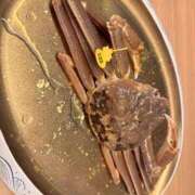 ヒメ日記 2025/12/04 15:03 投稿 シャネル BLUE BIRD (ブルーバード) 上越