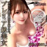 ヒメ日記 2026/02/20 16:23 投稿 シャネル BLUE BIRD (ブルーバード) 上越