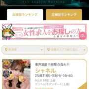 ヒメ日記 2026/04/13 18:02 投稿 シャネル BLUE BIRD (ブルーバード) 上越