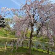 ヒメ日記 2026/04/14 11:53 投稿 シャネル BLUE BIRD (ブルーバード) 上越