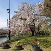 ヒメ日記 2026/04/14 13:23 投稿 シャネル BLUE BIRD (ブルーバード) 上越