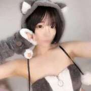 ヒメ日記 2026/01/09 21:58 投稿 もね【シルバーアロー】 Arrows 苫小牧・千歳店