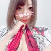 さつき【シルバーアロー】 🍀さつき🍀 Arrows 苫小牧・千歳店