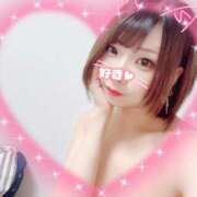 さつき【シルバーアロー】 🍓さつき🍓 Arrows 苫小牧・千歳店