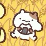 ヒメ日記 2025/07/07 05:25 投稿 こまり「こまり」 ピュアセレクラブ