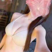 ヒメ日記 2025/12/24 12:04 投稿 手島りほ MIRAI TOKYO 六本木店