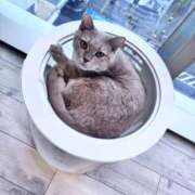 ヒメ日記 2025/06/20 21:00 投稿 Asa(あさ） AMATERAS(アマテラス)(福山)