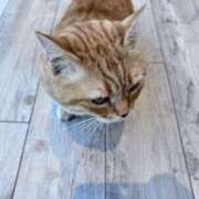 ヒメ日記 2025/06/21 21:20 投稿 Asa(あさ） AMATERAS(アマテラス)(福山)