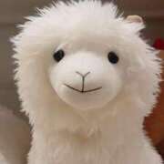 ヒメ日記 2026/02/04 10:14 投稿 八咲(やえ)【スレンダー美女】 美魔女コレクション別府店