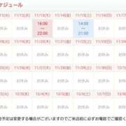 ヒメ日記 2025/11/11 15:02 投稿 川村　りさ 川崎南町 素敵な奥様（川崎ハレ系）