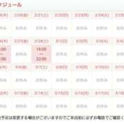 ヒメ日記 2026/02/19 19:01 投稿 川村　りさ 川崎南町 素敵な奥様（川崎ハレ系）