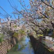 ヒメ日記 2026/04/05 15:02 投稿 川村　りさ 川崎南町 素敵な奥様（川崎ハレ系）