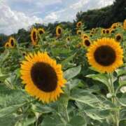 ヒメ日記 2025/08/12 13:14 投稿 新人・津花沙(ツカサ) グランドオペラ名古屋