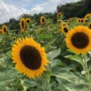 ヒメ日記 2025/08/19 20:27 投稿 新人・津花沙(ツカサ) グランドオペラ名古屋