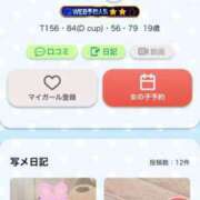 ヒメ日記 2025/08/18 22:45 投稿 すずか 石庭