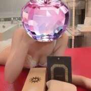 ヒメ日記 2025/09/23 10:28 投稿 すずか 石庭