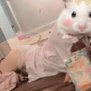 ヒメ日記 2025/10/13 14:50 投稿 すずか 石庭