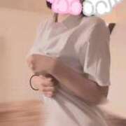 ヒメ日記 2025/10/18 19:50 投稿 すずか 石庭