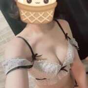 ヒメ日記 2025/11/03 20:50 投稿 すずか 石庭