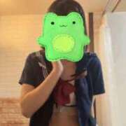 ヒメ日記 2025/11/15 20:50 投稿 すずか 石庭