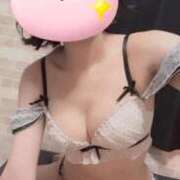 すずか 自己紹介 石庭