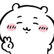 ヒメ日記 2025/12/30 21:50 投稿 すずか 石庭