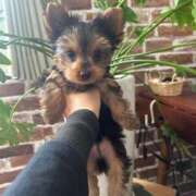 ひいろ 再来週には…🙇‍♀️ CLUB DEEP