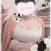 ヒメ日記 2025/11/22 13:52 投稿 甘寧もも AJ DOLLS(エージェイドールズ)